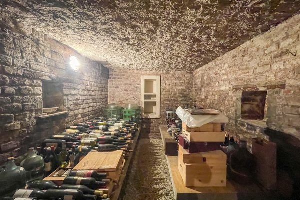 Viničný dom s vinohradom na predaj, Melek